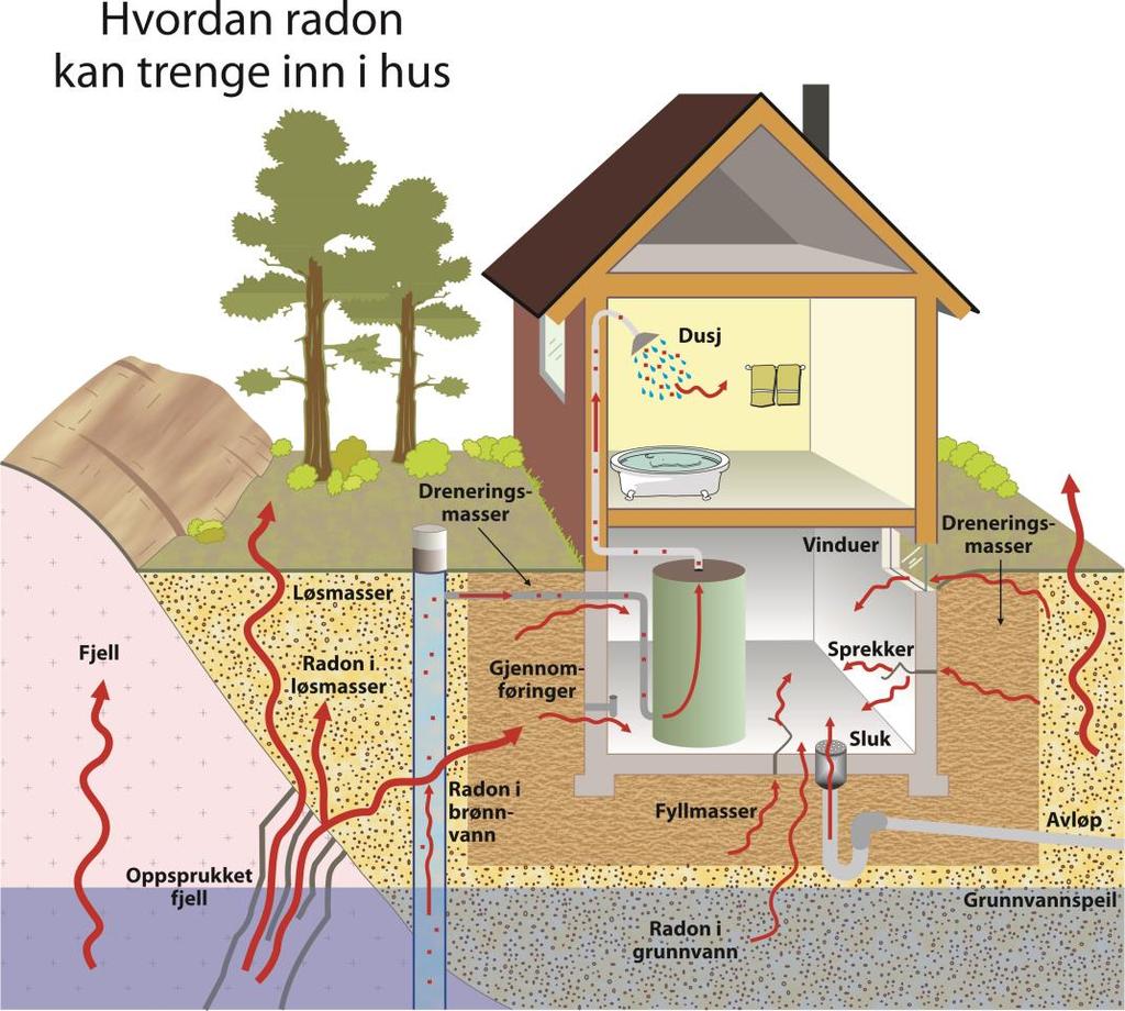 RadonAktsomhet Radon er usynlig og luktfri gass, datterprodukt av uran Dannes kontinuerlig i jordskorpa Alunskifer har høyest