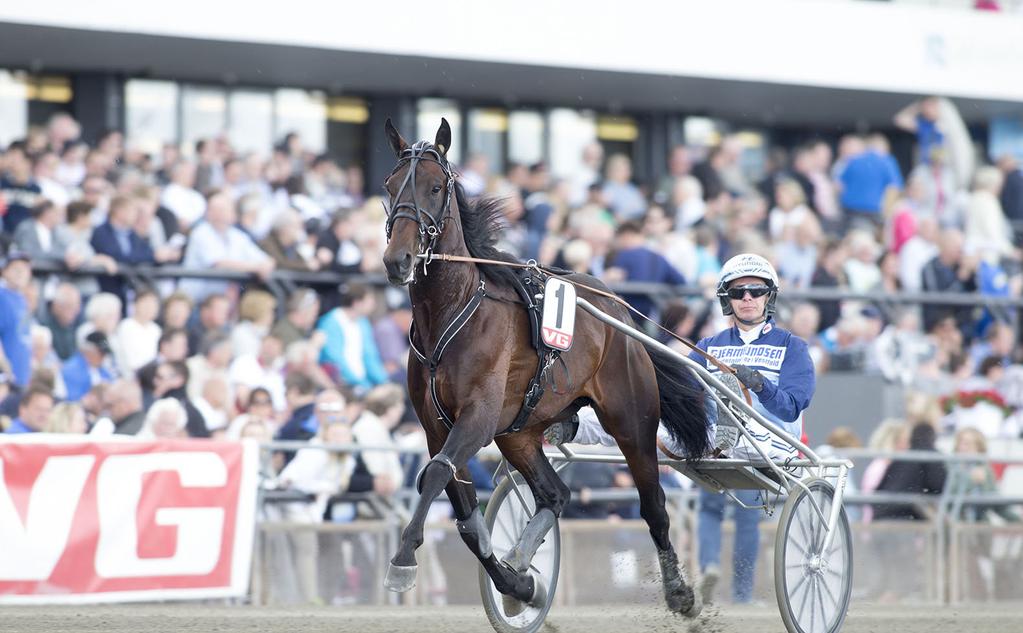 Champion Gull-løpet - VG+ løpet - TGN serien