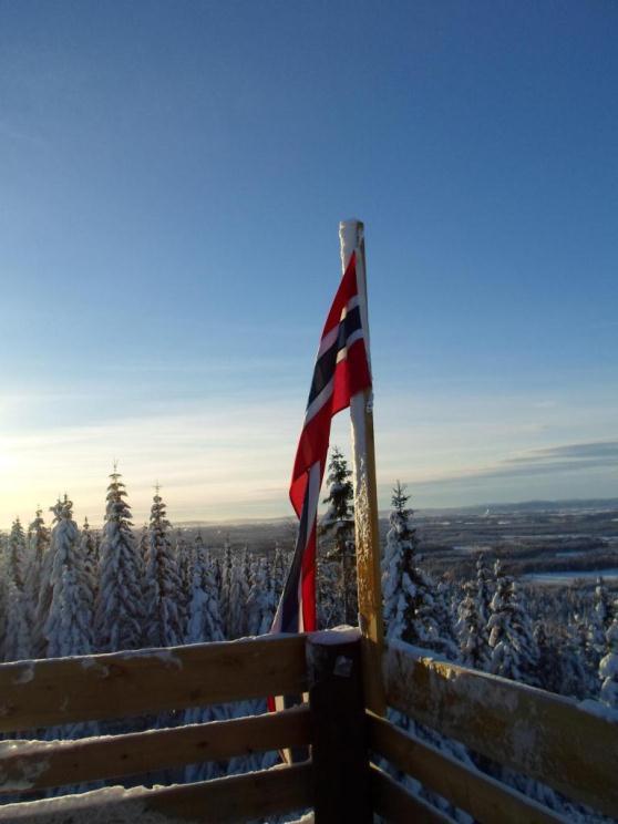 Stien til Svinåsen ble veldig ødelagt av stormen Dagmar i 2011. Det har blitt gjort en stor Dugnadsinnsats både i stien og i tårnet.