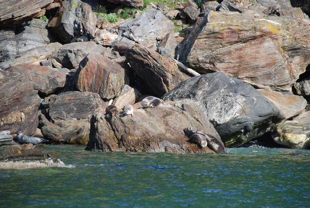 Formålet med å opprette naturreservater er knyttet til rene naturfaglige forhold.