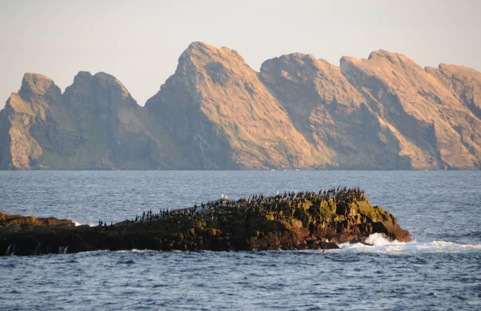 3-6. Store Kamøya På Store Kamøya (som ligger ved Lille Kamøya) hekker det et betydelig antall toppskarv (750 1000 par) og teist.