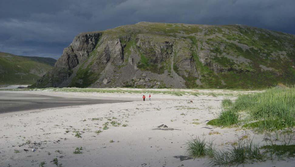 Storsanden i Finnvika Sørøya. Foto: Tom E. Ness Kalkrike områder i fjellet: Kalkrik berggrunn gir et næringsrikt jordsmonn og stedvis frodig vegetasjon med et høyt antall urter, lav og moser.