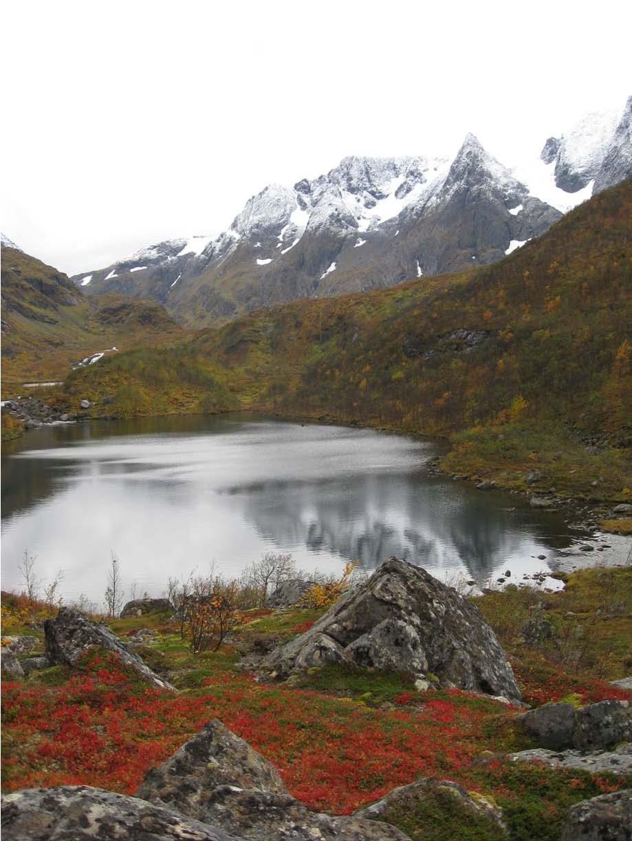 Motiv fra Seiland nasjonalpark. Straumvatnet i Jøfjorden, med Rypebær i høstfarger. Foto: Tom E. Ness. 3-11-3. Store Vinna Store Vinna ligger i Sørøysundet mellom Survika og St. Fagervika på Seiland.