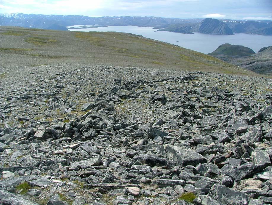 Sundquist I løpet av middelalderen intensiveres villreinfangsten og fangstgjerder, såkalte vuopmanat, der reinen ledes inn i en sirkelformet innhegning blir vanlig.