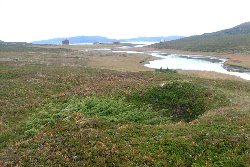 3. Seiland 3-1. Grunnvåg På neset i Grunnvåg ligger det to store gårdshauger. Gårdshauger bygges opp ved at det står våningshus eller fjøs på samme sted over mange hundre år.