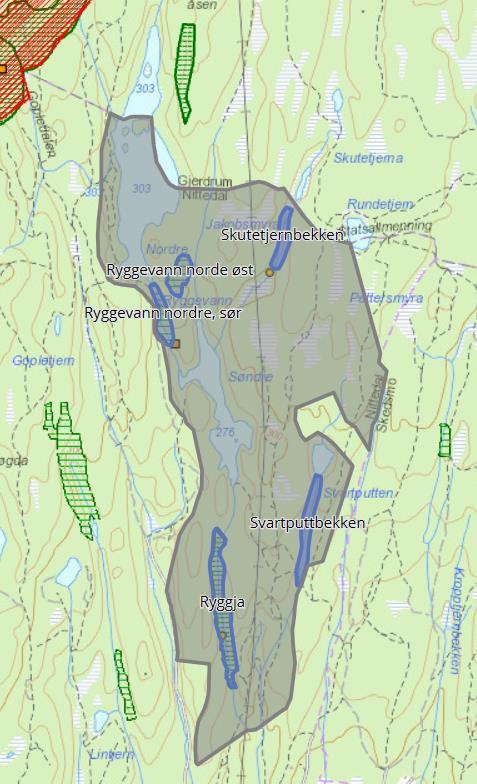 Tabell 2: Oppsummering av viktige kriterier og samlet verdi for Ryggevann. Felt som er grået ut skal ikke fylles ut for kjerneområder.