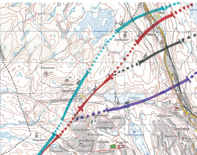 Elevrådet gir ordfører og formannskapet synspunkter på valg av trasé