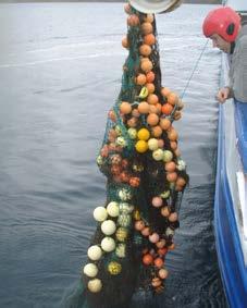 I dag er fiskefeltene relativt rene grunnet opprenskingen, men tenk hvordan det hadde vært å drevet fiske om dette fremdeles lå der.