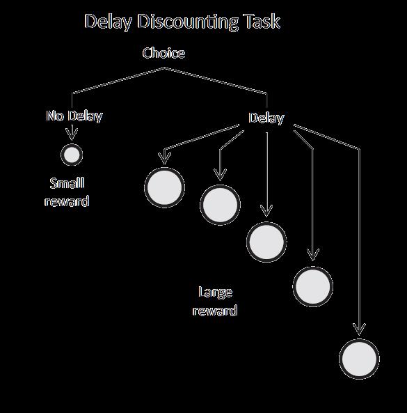 Systematisk data analyse: delay discounting En ting som forskes på innen ADHD er fenomenet delay discounting. Paradigmet handler om å velge én av to alternativer.