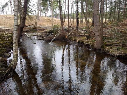 videre nedover er berggrunnen delvis dekket av marine avsetninger. Nedenfor Sognsvann består berggrunnen av kambrosilurske bergarter. Utenfor byggesonen er vegetasjonen vesentlig granskog.