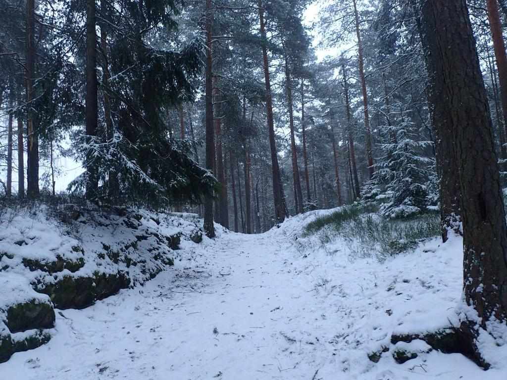 Foto 2: Turveien/isveien tatt ved registreringen i desember når