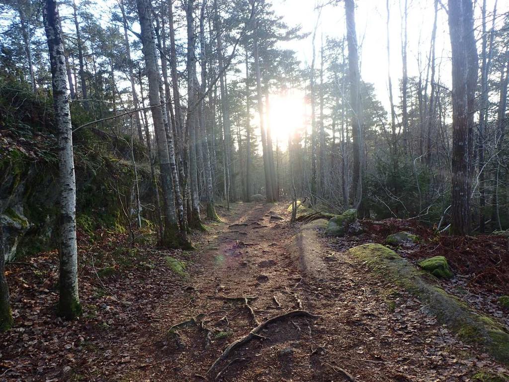 Tursti Skoklefall, Nesodden kommune) Idnr. 180927 Veifar og tuft fra nyere tid på Skoklefall gbnr. 2/851 og Nesoddtangen gbnr. 4/210.