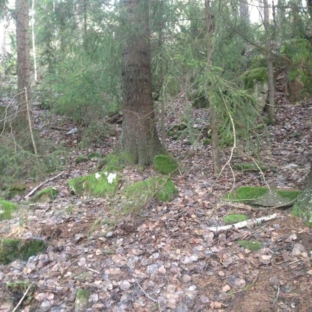 F2 Tuft Tuft, steinsatt grunnmur. 5 meter i nord-sør retning og 3 meter i øst-vest retning. Ligger i skråning på isveiens østre side.