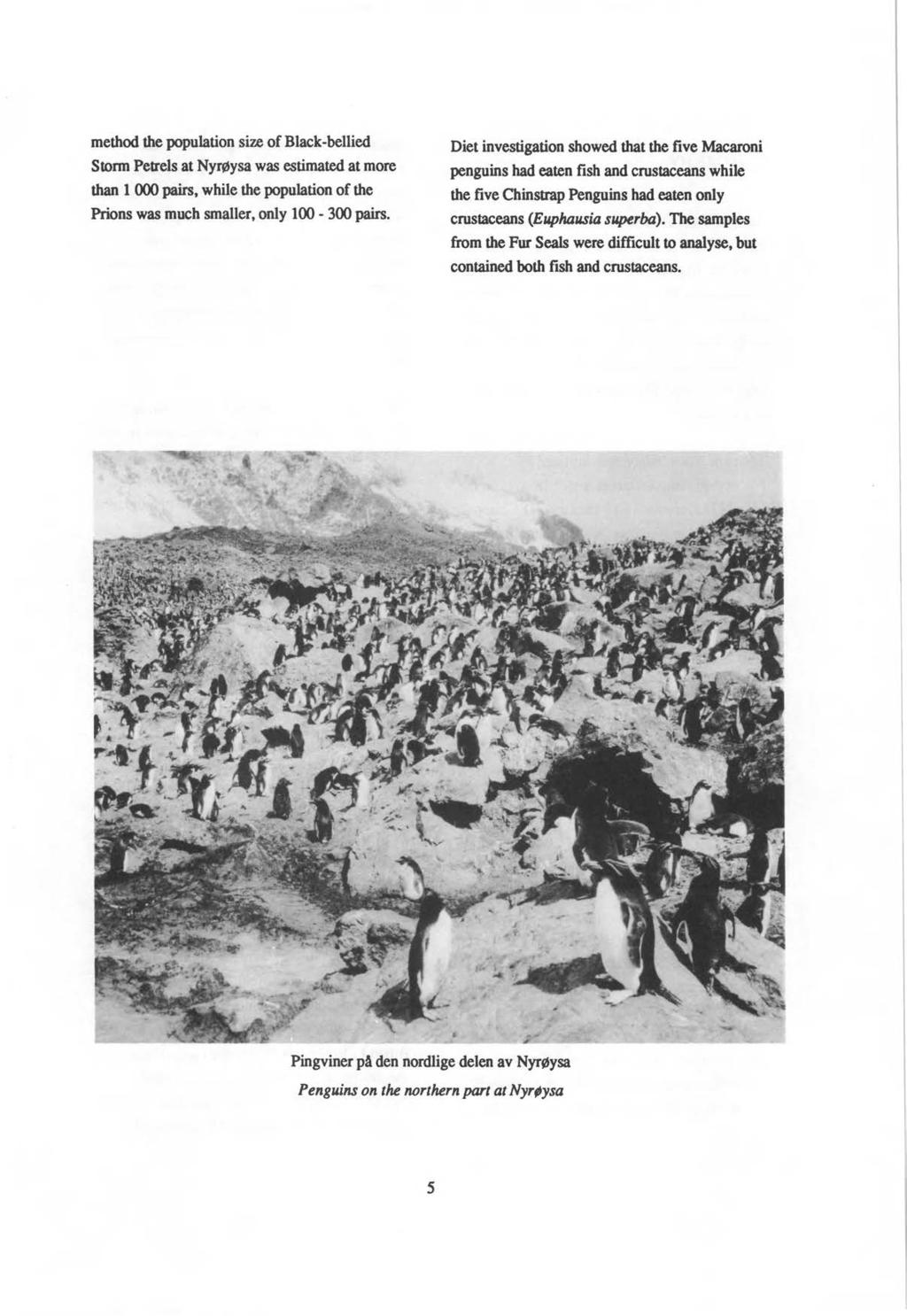 method the population size of Black-bellied Stonn Petrels at Nyrøysa was estimated at more than 1 000 pairs, white the population of the Prions was much smalter, only 100-300 pairs.