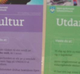 viser vilje til kontinuerleg utvikling og refleksjon over eigen praksis. Korleis sikrar vi kvalitet og profesjonalisering på alle område og nivå i organisasjonen?