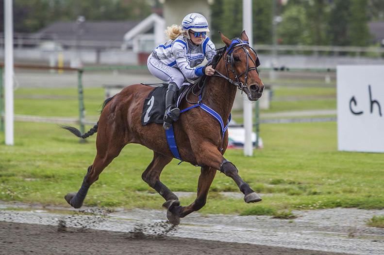 GRATIS INNGANG Nr 8/0 Kr Varmingsinfo fra Ole onny