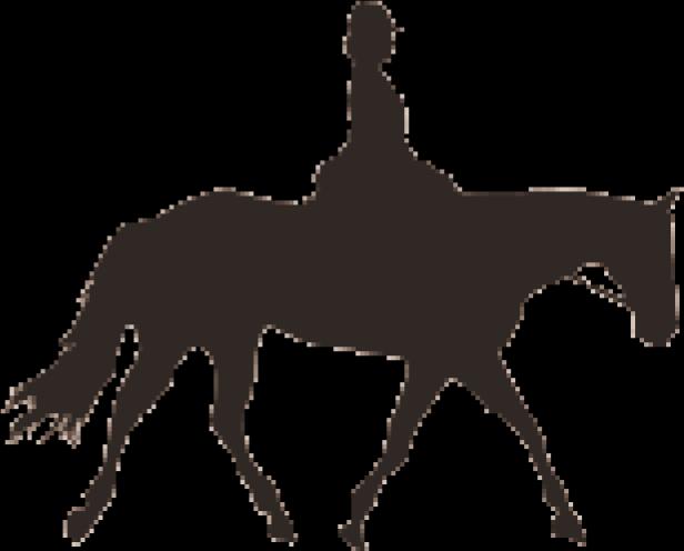 Konkurranseregler for Bruksridning Målet med konkurransen: En konkurranse der hester av alle raser kan delta.