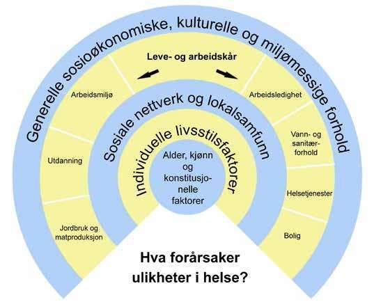 Påvirkningsfaktorer for helse - bomiljø hva legges i det?