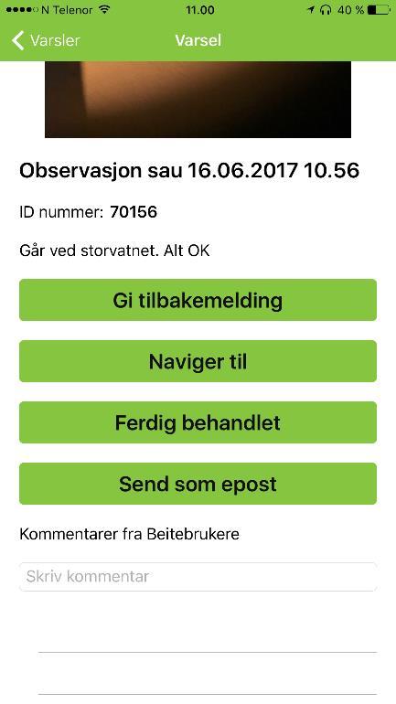 Varsler i liste Varsler som blir sendt inn, både med og uten bilde havner i lista her i kronologisk rekkefølge.