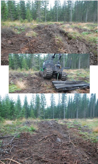 4.3. Forsøk med Drammenslodd i tradisjonelt skogsterreng. Forsøksområdet for denne testen var på et noe flatere terreng over en eldre hogstflate med tidvis mye røtter i basveien.
