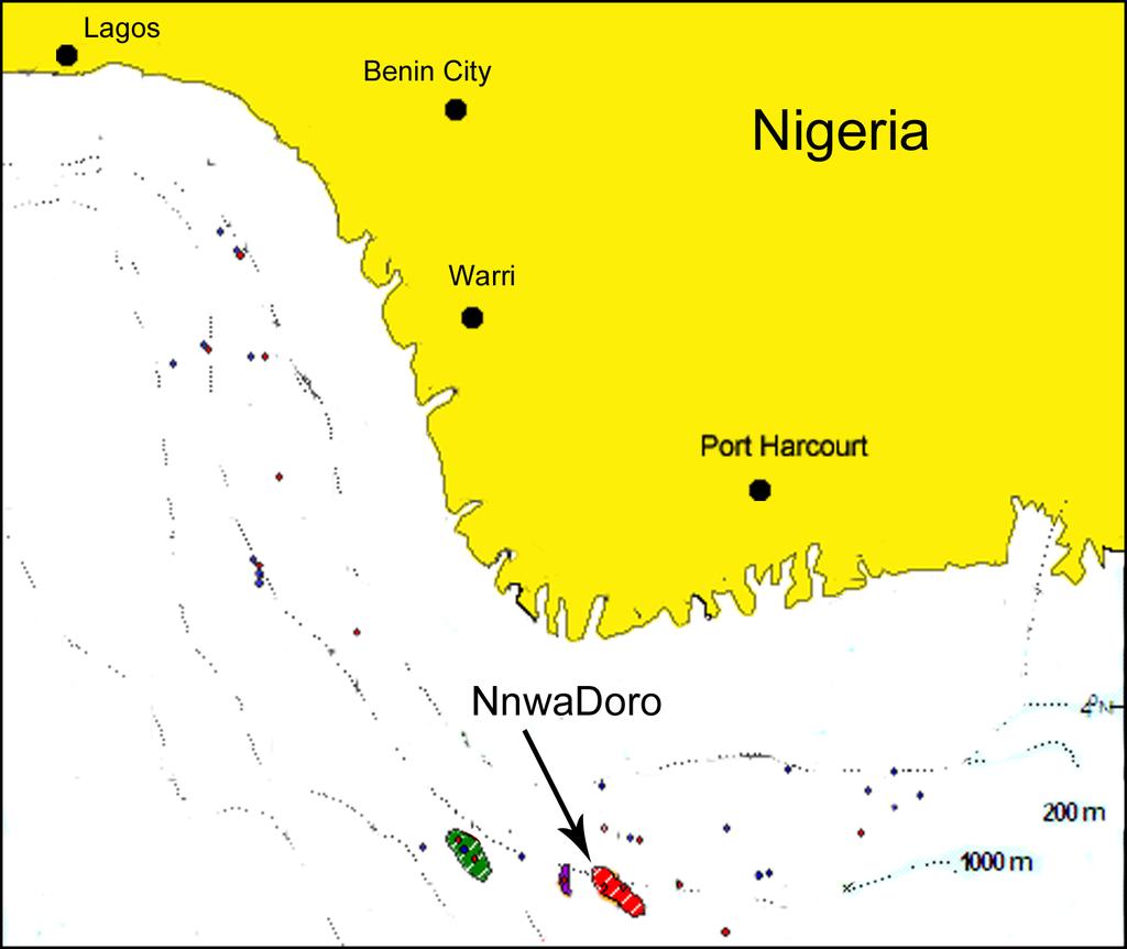 1 INNLEDNING Figur 1.1: NnwaDoro-feltet utenfor Nigerias kyst. I forbindelse med NnwaDoro-prosjektet har tatoil et ønske om å studere CO som forkjølingsmedium i LNG-prosessen.