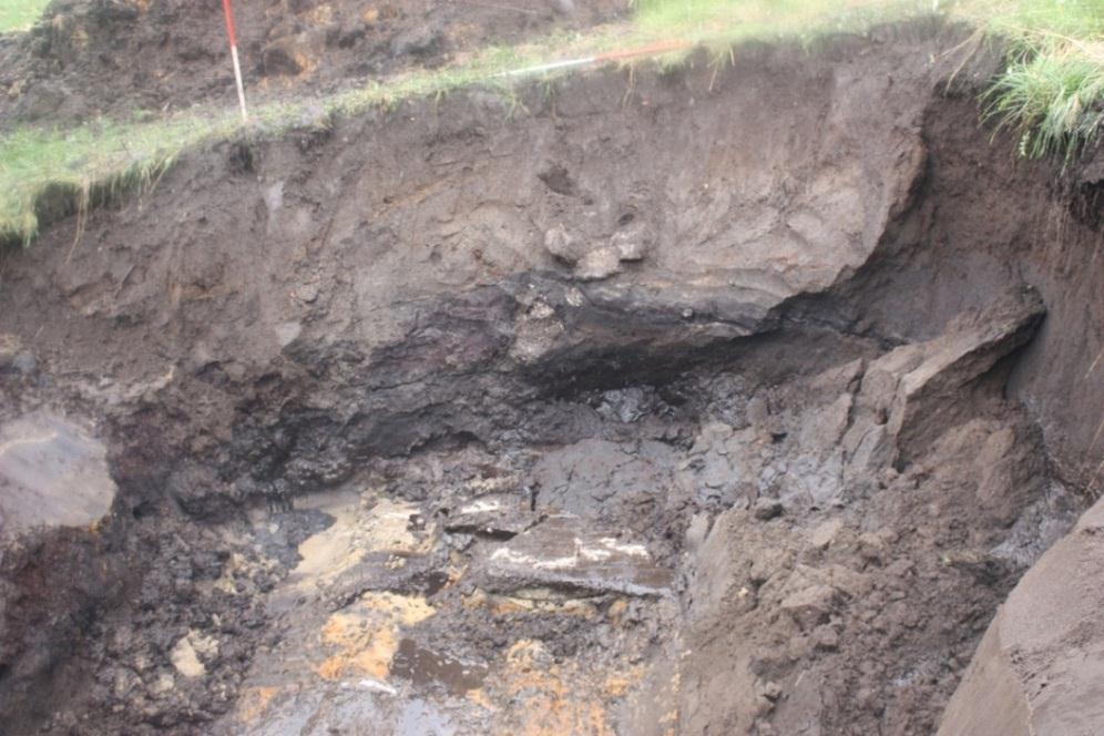 Prøvesålding i åkerreinen viste at åkerreinsmassene inneholdt noe flint, hasselnøttskall og forholdsvis mye kull.