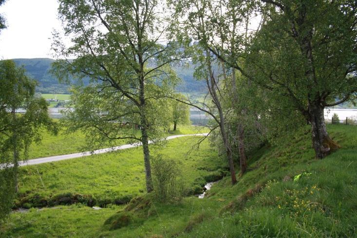 Like ved rydningsrøysa var mykje av jorda erodert som følgje av beitetråkk, og det var difor mogleg å