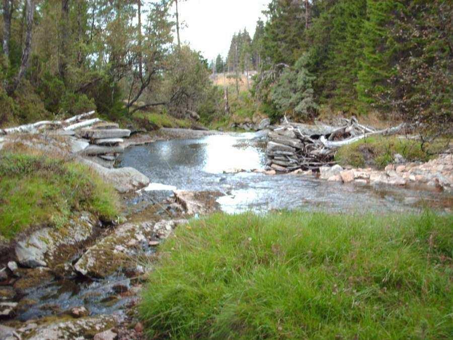 dei gamle stølane til Dysjeland, den som vert kalla Gamlestølen. Drifta her vart avslutta i 1950 (Timberli 1999), og stølen vart tilplanta med gran. Granskogen her er no hogd og ny gran er planta.