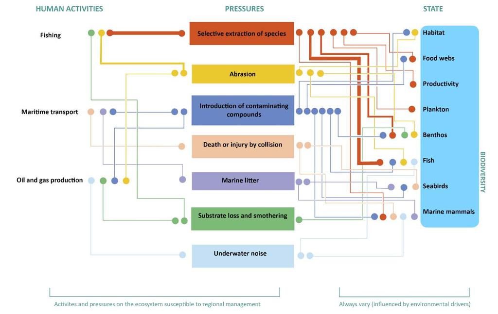 Ny kunnskap om kombinerte effekter av påvirkning fra petroleumsaktivitet ICES (International Council for the Exploration of the Sea) ga i 2016 ut rapporten Final Report of the Working Group on the