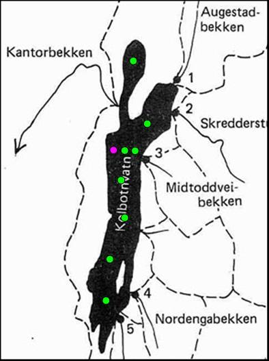 Tabell V-6 Rådata Kolbotnvannet 215, forts. Tot-P (µg/l) målinger ved andre stasjoner i Kolbotnvannet 215 SØR 1 SØR 2 SØR 3 H2 BUKT BRYGGE 23.3.215 21.5.215 25 33 38 28 18.6.215 15 21 25 22 16.7.