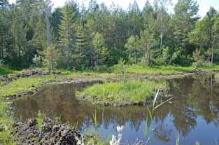 20 a-b viser dam 6 ved Lok. N henholdsvis to og fire år etter utgravninga.