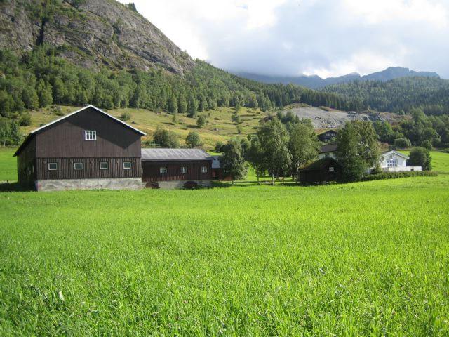 Kva skjer med beitelandskapet når bruket går inn i samdrift?