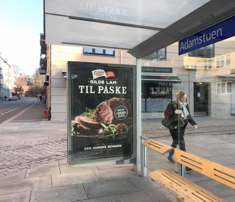 Ekstra fokus på lam i Nortura Dette året har lam fått ekstra fokus i hele Nortura. Overskuddssituasjonen har gjort det nødvendig med radikale tiltak for å få avsetning på den store lagerbeholdningen.