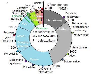 Geologi er en ganske lang historie men kan for enkelhets skyld deles i to: