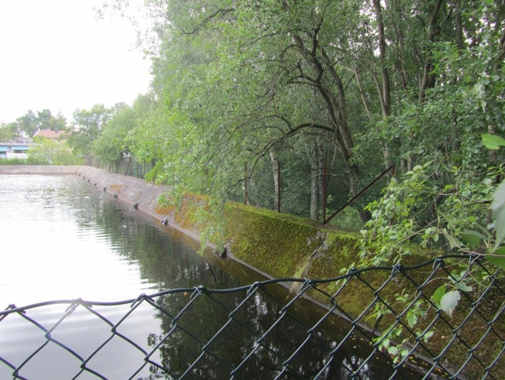 Damskråningen etter påbyggning vil gå helt ut til tujahekken.