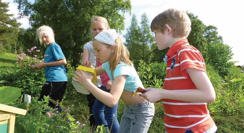 www.skolehagen.no SKOLEHAGE Det finnes utallige aktiviteter og undervisningsopplegg som kan knyttes til en skolehage.