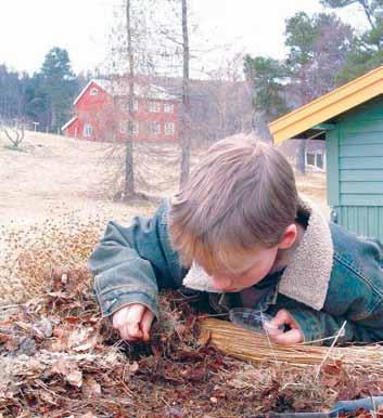 gruppe de tilhører. Hvilket nivå vi ønsker å bestemme til er avhengig av kunnskapsnivå og klassetrinn. Første dag setter elevene ut feller for å samle inn smådyr.