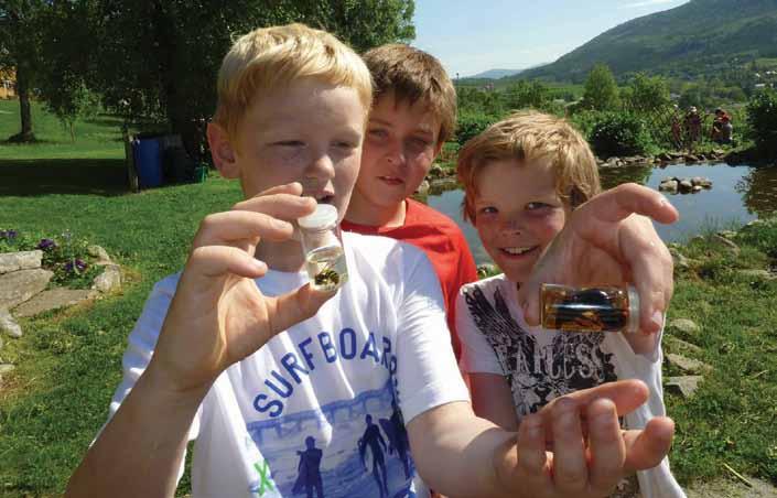 www.skolehagen.no Innsamling med håv og hender Småkryp fra vegetasjonen kan samles inn ved å bruke insekthåv eller bokser med lokk. En håv kan brukes i kratt, gras og trær.