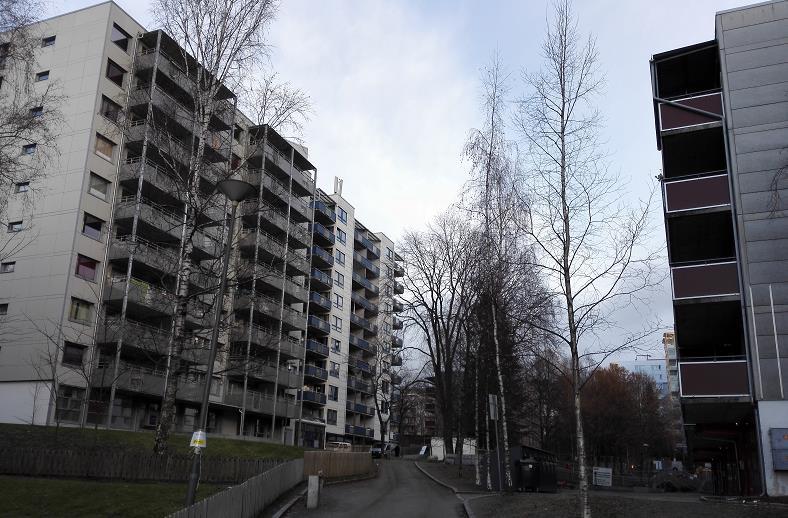 Det er næringslokaler i første etasje i flere av blokkene rundt Hovseter torg (Setra borettslag, 68-, 82 og 84-blokken), samt eget næringslokale som har fungert som dagligvarebutikk.