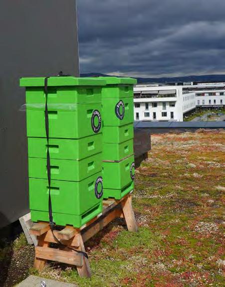 pollinatorene. Den slår blant annet fast at over tre fjerdedeler av verdens ledende jordbruksvekster avhenger av pollinering for avling og kvalitet.