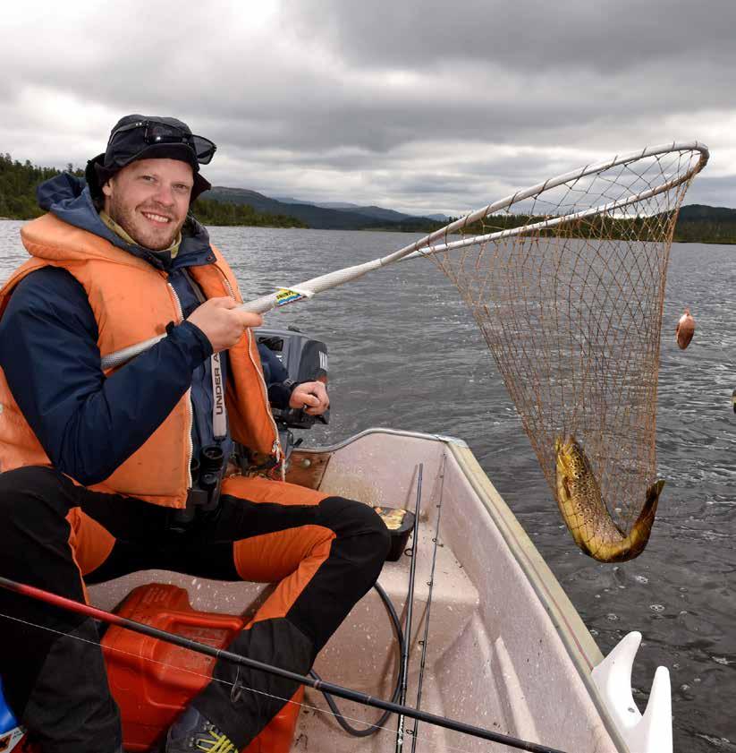 hell. Jeg har også forsøkt tubefluer og dobbelkrokede våtfluer, men det har ikke gitt resultat.