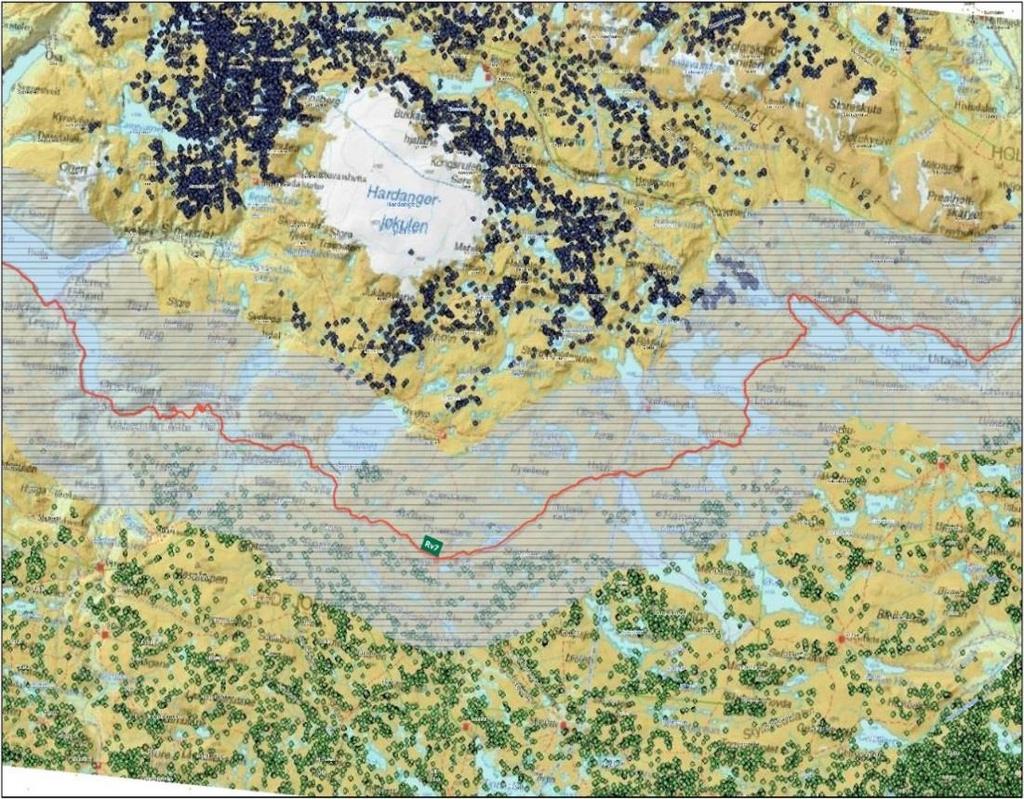 Villrein Indikator 2: Økt bruk av gode potensielle beiteområder Figur 4: Området i grått på kartet viser den ca. fem km brede «avvisningskorridoren» for villrein på begge sider av rv. 7, jf.