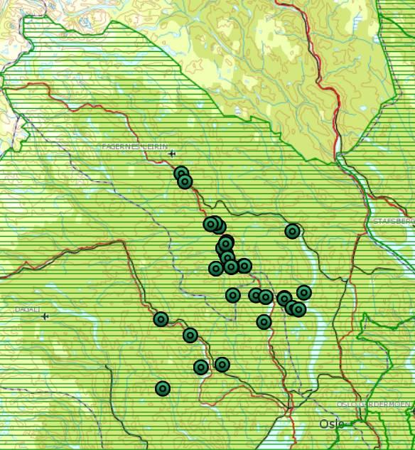 Side 6 av 12 Figur 3. Registrerte familiegrupper av gaupe i Oppland (rød) og Buskerud (blå) i 2016. Familiegruppen i lilla sirkel deles mellom Oppland og Buskerud. 5.