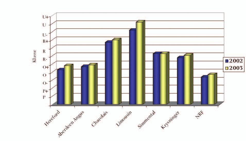 30 Årsmelding 2003 Slakteresultater Klasse og fettgruppe hos Ung okse Rase Antall Slakte- Klasse Fett- Alder Slakte slakt vekt (kg) gruppe v/slakt tilvekst (mnd) (g/d) Hereford 525 274 O+ (5,6) 3-