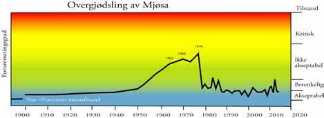 Overgjødsling av Mjøsa Middelskonsentrasjon av Tot-P i Mjøsa, juni-oktober, 0-10 m.