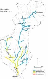 Det var høye nivåer av tot-n i alle elvene unntatt Gudbrandsdalslågen, dvs. tilstandsklasse fra moderat til svært dårlig.