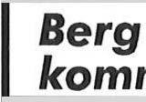 Berg kommune MELDING OM VEDTAK Skaland Dagligvare AS Skaland SKALAND DAGLIGVARE AS - SØKNAD TILSKUDD NYTT INNGANGSPARTI Vår ref. 171138-4/WP Arkivkode 223 Deres ref. Dato 24.03.