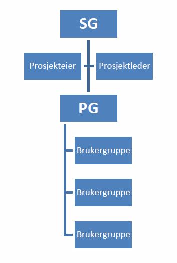 Prosjektgruppe Brukergrupper Styringsgruppa ble ledet av fylkesrådmannen. Prosjektleder er sekretær for styringsgruppa og forbereder saker.