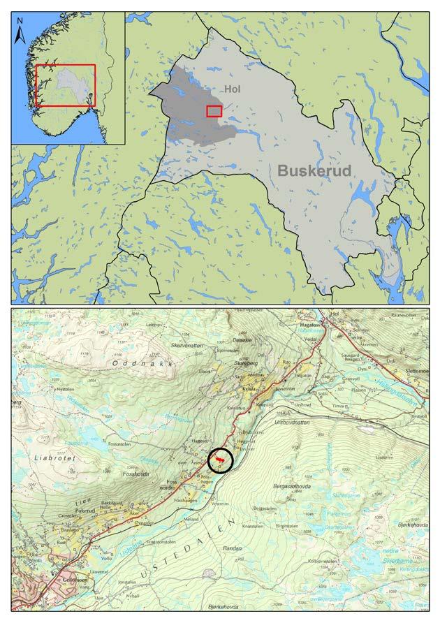 3. LANDSKAPET - FUNN OG FORNMINNER Planområdet ligger øst i Ustedalen, mellom Hol og Geilo.