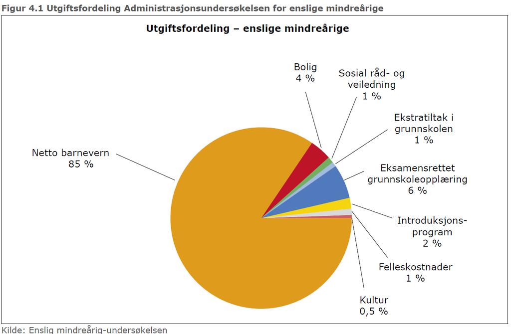 Les hele rapporten. 2. Tilskudd og refusjonsordninger Kommunen mottar for enslig mindreårige tre tilskudd, integreringstilskudd, særskilt tilskudd og ekstratilskudd i 2016.